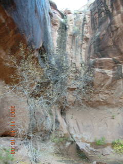 296 6bf. Moab - Negro Bill Trail