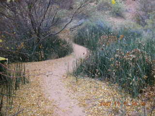 302 6bf. Moab - Negro Bill Trail