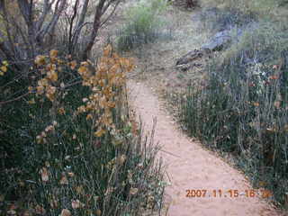 305 6bf. Moab - Negro Bill Trail