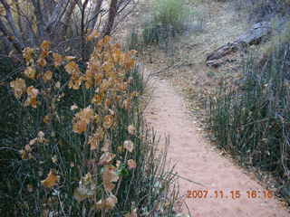 306 6bf. Moab - Negro Bill Trail