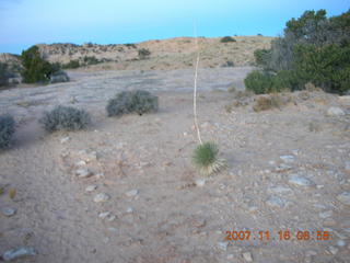 2 6bg. Canyonlands National Park - Lathrop Trail hike