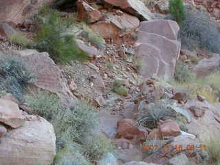 56 6bg. Canyonlands National Park - Lathrop Trail hike