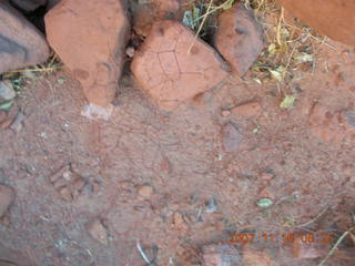 59 6bg. Canyonlands National Park - Lathrop Trail hike