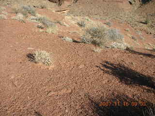 100 6bg. Canyonlands National Park - Lathrop Trail hike
