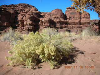 161 6bg. Canyonlands National Park - Lathrop Trail hike