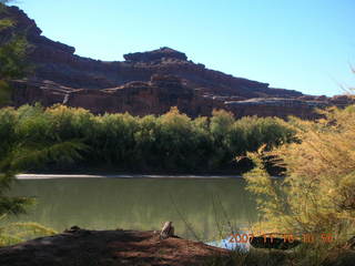 175 6bg. Canyonlands National Park - Lathrop Trail hike - Colorado River