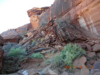 211 6bg. Canyonlands National Park - Lathrop Trail hike