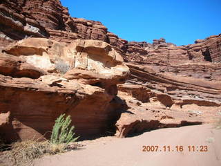 213 6bg. Canyonlands National Park - Lathrop Trail hike