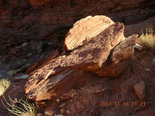 223 6bg. Canyonlands National Park - Lathrop Trail hike