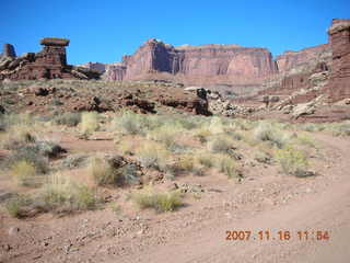 251 6bg. Canyonlands National Park - Lathrop Trail hike