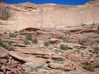 295 6bg. Canyonlands National Park - Lathrop Trail hike