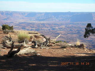 321 6bg. Canyonlands National Park - Lathrop Trail hike
