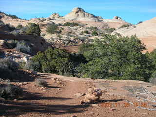 329 6bg. Canyonlands National Park - Lathrop Trail hike