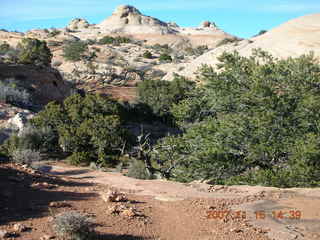 333 6bg. Canyonlands National Park - Lathrop Trail hike
