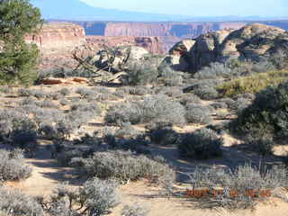 339 6bg. Canyonlands National Park - Lathrop Trail hike