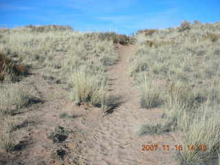 349 6bg. Canyonlands National Park - Lathrop Trail hike