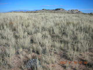 353 6bg. Canyonlands National Park - Lathrop Trail hike