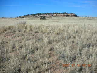 354 6bg. Canyonlands National Park - Lathrop Trail hike