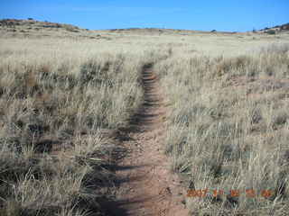 355 6bg. Canyonlands National Park - Lathrop Trail hike