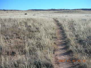 359 6bg. Canyonlands National Park - Lathrop Trail hike