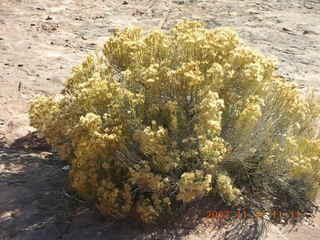 127 6bh. Dead Horse Point