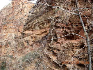 54 6cv. Zion National Park - Angels Landing hike