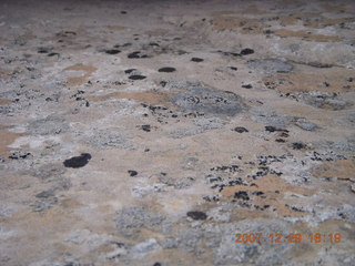 180 6cv. Zion National Park - West Rim trail - lichens and moss