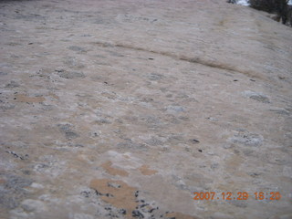 182 6cv. Zion National Park - West Rim trail - lichens and moss
