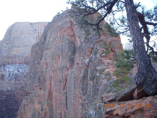 45 6cx. Zion National Park - sunrise Angels Landing hike