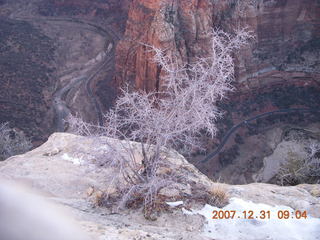 84 6cx. Zion National Park - sunrise Angels Landing hike - view from the top