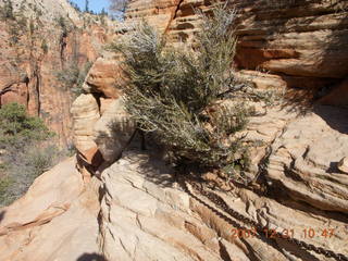149 6cx. Zion National Park - sunrise Angels Landing hike