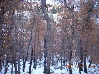 217 6cx. Zion National Park - West Rim hike