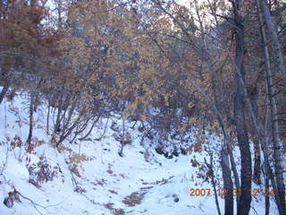218 6cx. Zion National Park - West Rim hike
