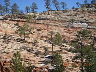 257 6cx. Zion National Park - West Rim hike