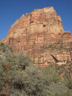 293 6cx. Zion National Park - Angels Landing hike
