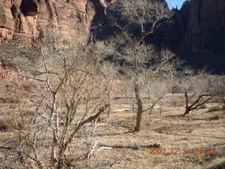 296 6cx. Zion National Park - Angels Landing hike