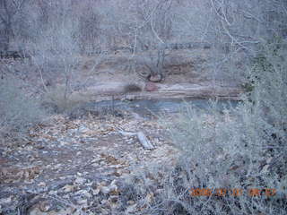 48 6d1. Zion National Park - sunrise Watchman hike - Virgin River