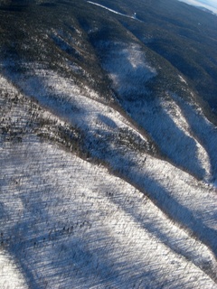 Sonia's pictures - aerial