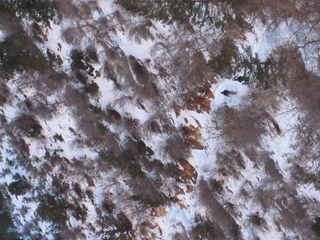 Sonia's pictures Grand Canyon - Bright Angel trail - Adam in silhouette