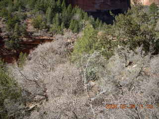 46 6ev. Zion National Park - Emerald Ponds hike