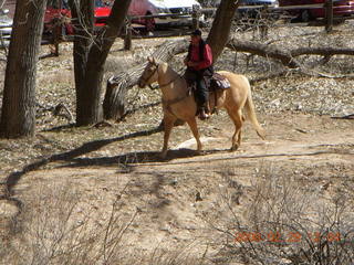 63 6ev. Zion National Park - Emerald Ponds hike - horseman