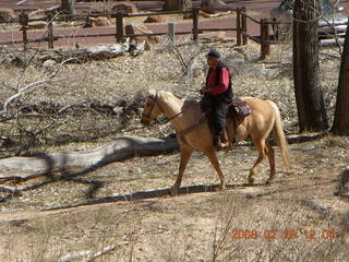 64 6ev. Zion National Park - Emerald Ponds hike- horseman