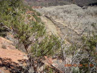 72 6ev. Zion National Park - Emerald Ponds hike