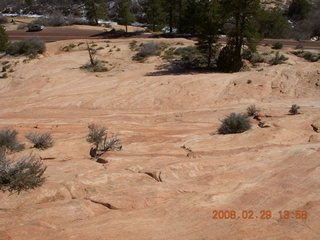 81 6ev. Zion National Park - slickrock hill
