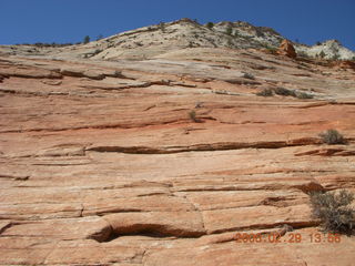 82 6ev. Zion National Park - slickrock hill