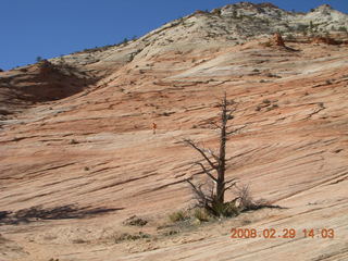 87 6ev. Zion National Park - slickrock hill - Adam in the distance