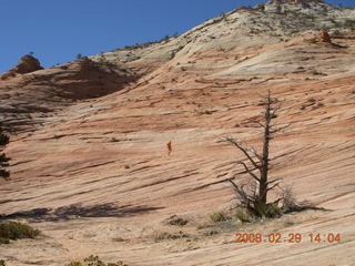 88 6ev. Zion National Park - slickrock hill - Adam in the distance