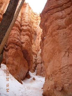317 6f1. Bryce Canyon - Navajo Loop hike