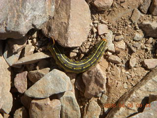 1960s style picture