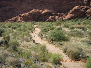 57 6gs. Snow Canyon - Hidden Pinyon trail
